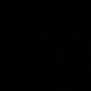 Meet your Posher, Timothy